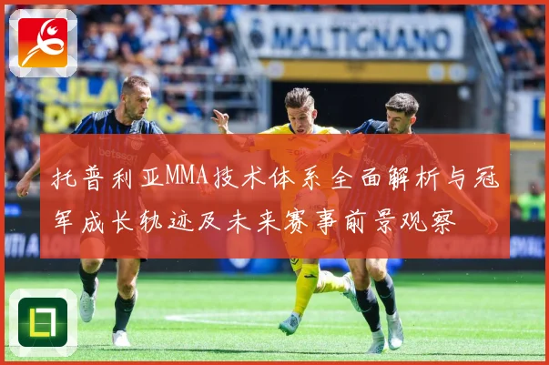 托普利亚MMA技术体系全面解析与冠军成长轨迹及未来赛事前景观察