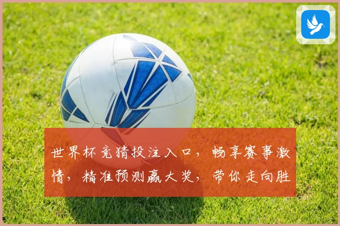 世界杯竞猜投注入口，畅享赛事激情，精准预测赢大奖，带你走向胜利之路
