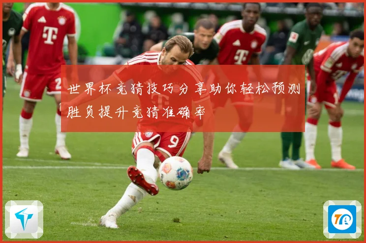 世界杯竞猜技巧分享助你轻松预测胜负提升竞猜准确率
