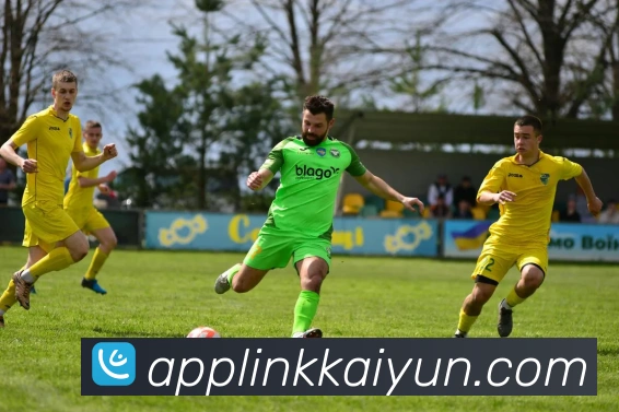 开云平台展示图